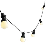 20m Festoon Lighting